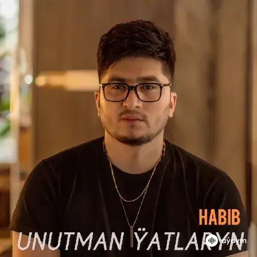 Habib - Unutmaryn Ýatlaryn