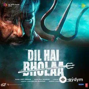 Hindi aýdymlary - Dil Hai Bholaa - Amit Mishra