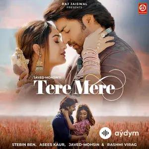 Asees Kaur - Tere Mere