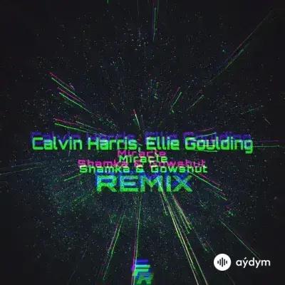 Shamka -Dj Gowshut  - Miracle