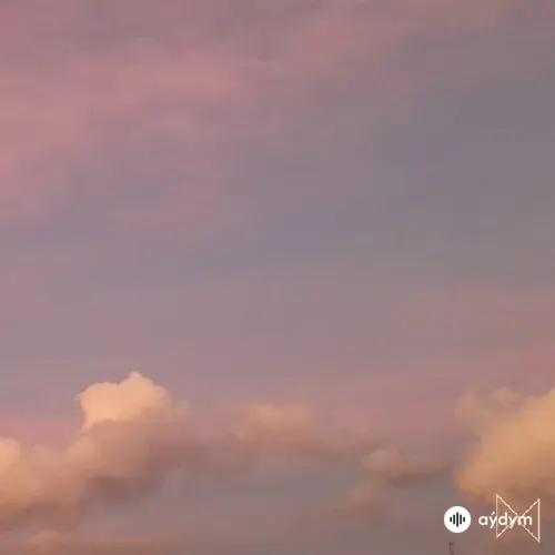 Tollan Kim - Aesthetic