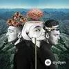 Clean Bandit-Zara Larsson - Symphony