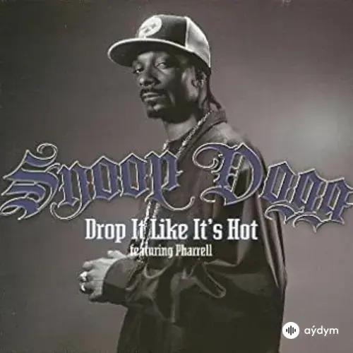 Snoop Dogg - Drop It Like It's Hot - & Pharrel