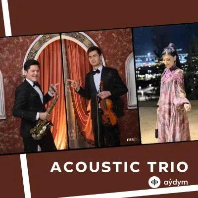 Acoustic Trio