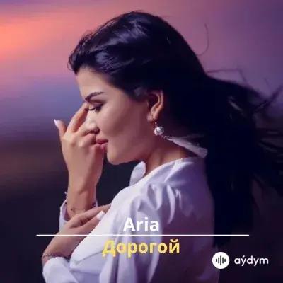 Дорогой - Aria