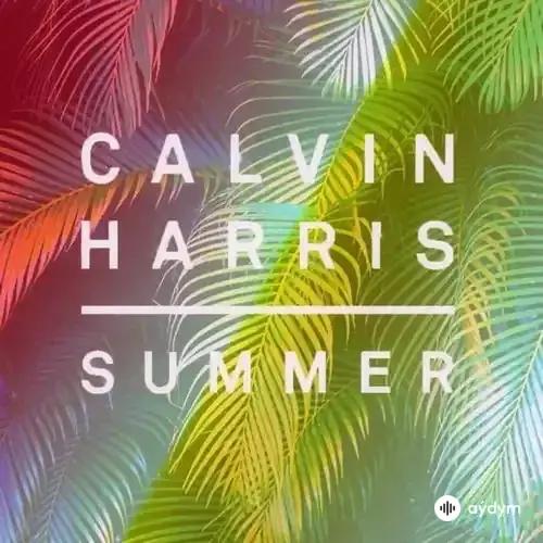 Calvin Harris - Summer