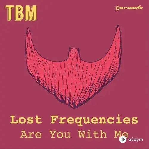 Lost Frequencies - Are You With Me