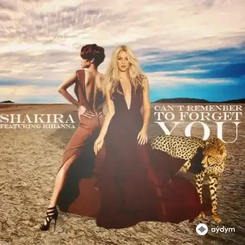 Rihanna -Shakira - Can't Remember To Forget You
