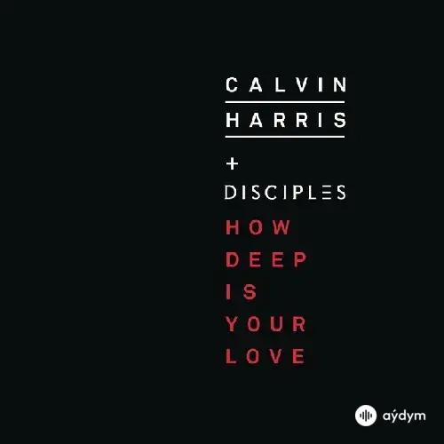 Calvin Harris - How Deep Is Your Love - & Disciples