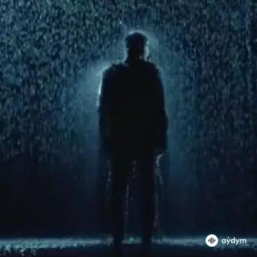 Alekseev - А я пливу