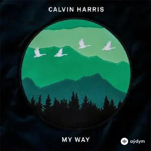 Calvin Harris - My Way