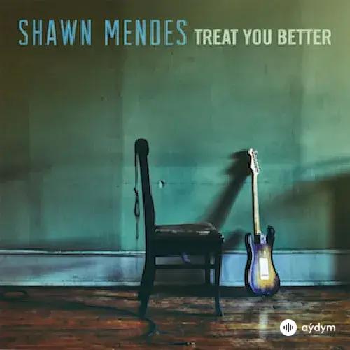 Shawn Mendes - Treat You Better