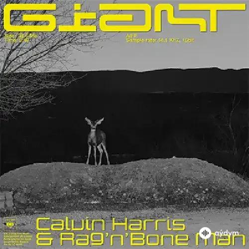 Calvin Harris-Rag'n'Bone Man - Giant