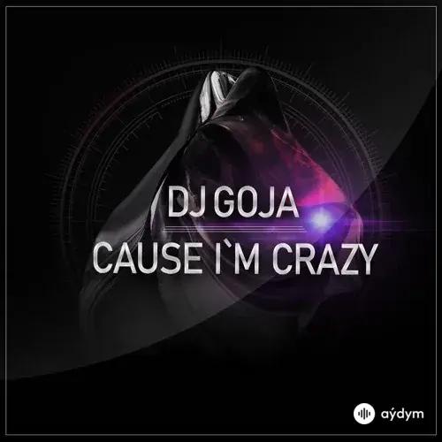 Dj Goja - Cause I'm Crazy