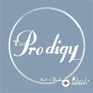 The Prodigy - You'll Be Under My Wheels