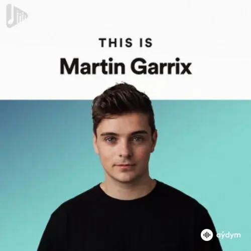 100% Martin Garrix