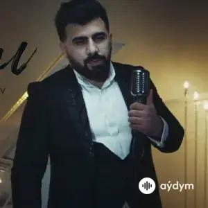 Şöhret Memmedov - Olarmı