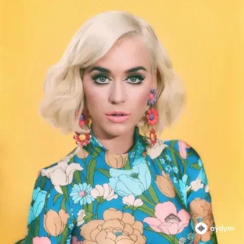 Katy Perry-Migos - Bon Appetit