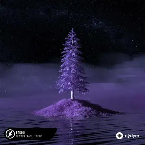 Veronica  Bravo-Le Bober  - Faded