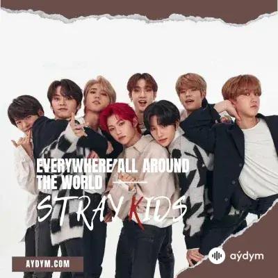 100% Stray Kids