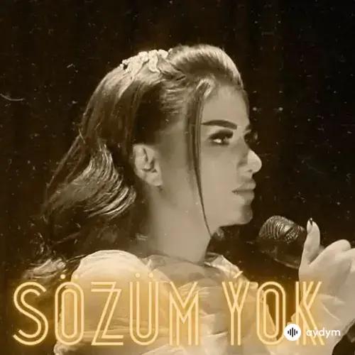 Sözüm Ýok - Aýlara Baýriýewa