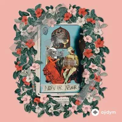 Halsey - Now Or Never