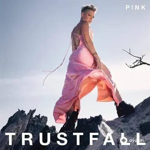 Pink - When I Get There