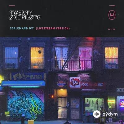 Twenty One Pilots  - Level of Concern