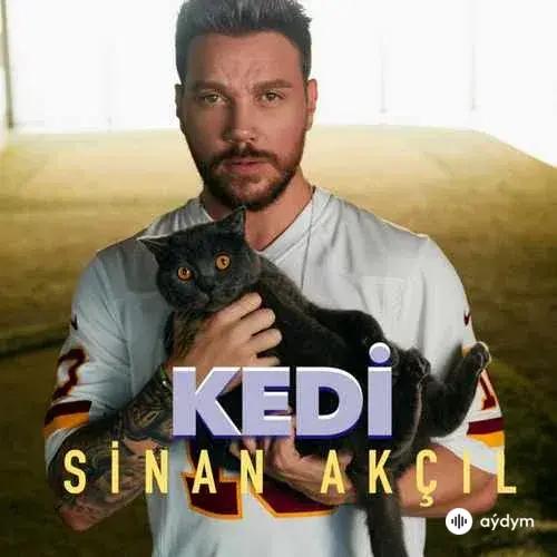 Sinan Akçil - Kedi
