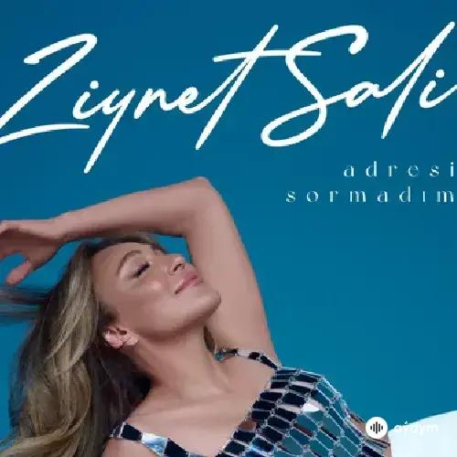 Ziynet Sali - Adresi Sormadim