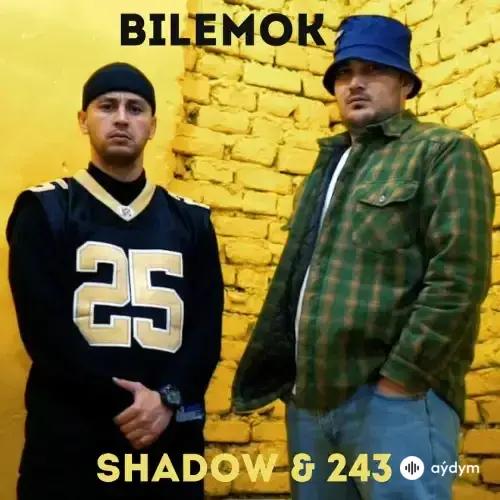 Bilemok - Shadow & 243