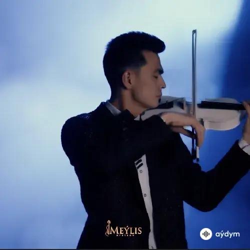 Meýlis Hydyrow - Любовь Уставших Лебедей