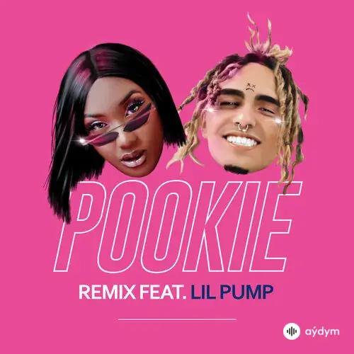 Aya Nakamura  - Pookie Remix - & Lil Pump