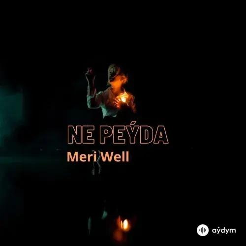 Ne Peýda - Meri Well