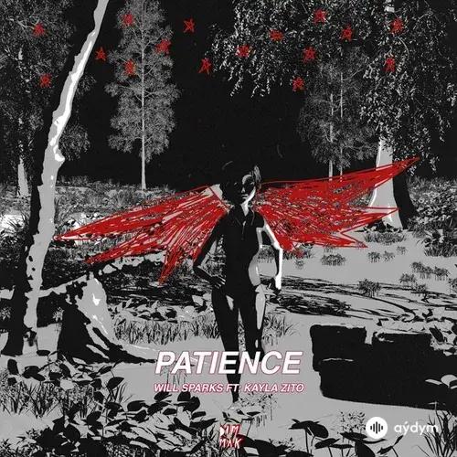 Will Sparks - Patience
