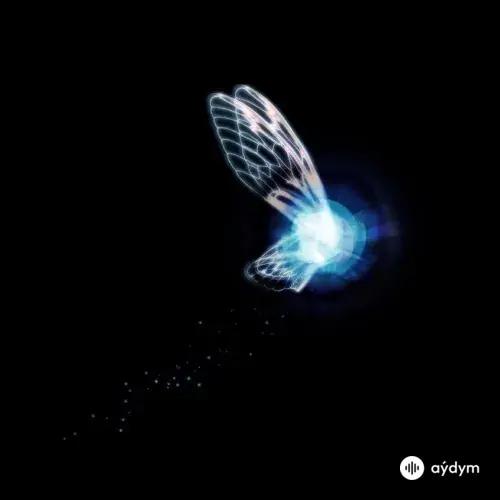 Dj Inkyz  - Navy