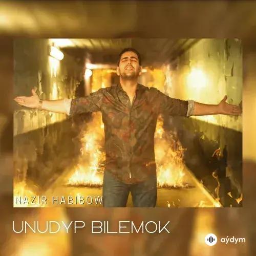 Nazir Habibow - Unudyp Bilemok