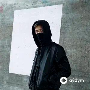 Alan Walker-K-391 -Emelie Hollow - Lily