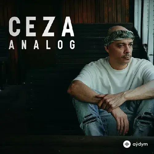 Analog - Ceza