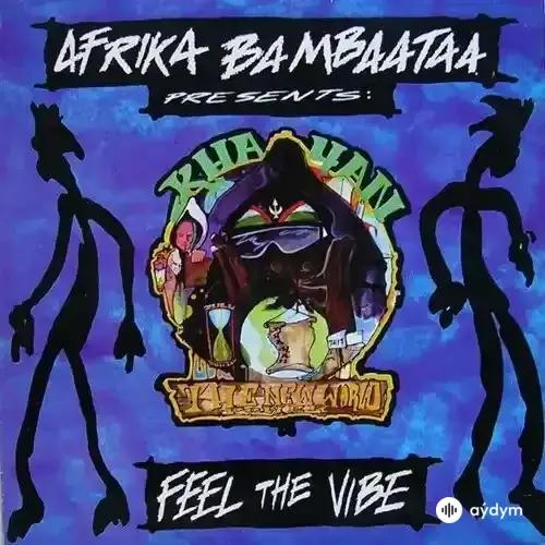 Afrika  Bambaataa - Feel The Vibe 