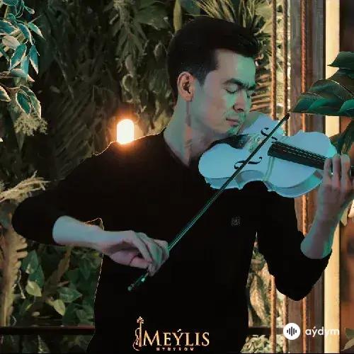 Meýlis Hydyrow - Garagöz