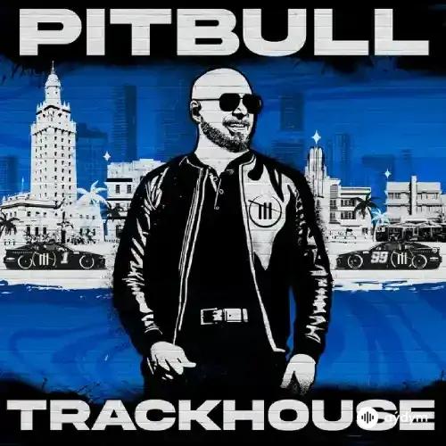 Pitbull-T-Pain -El Micha  - Lit in the City
