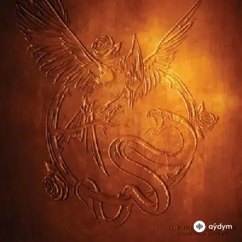 Olivia Rodrigo - Can’t Catch Me Now