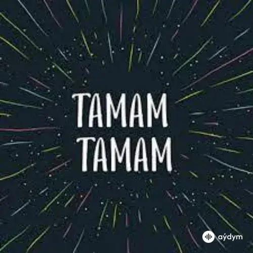 Ilkay Sencan - Tamam Tamam -  (8D Audio)
