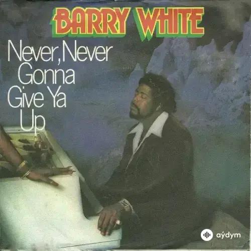 Barry White - Never, Never Gonna Give Ya Up