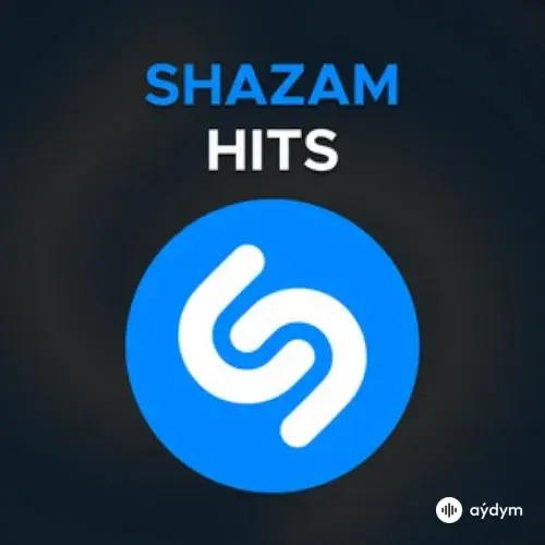 Top Shazam November