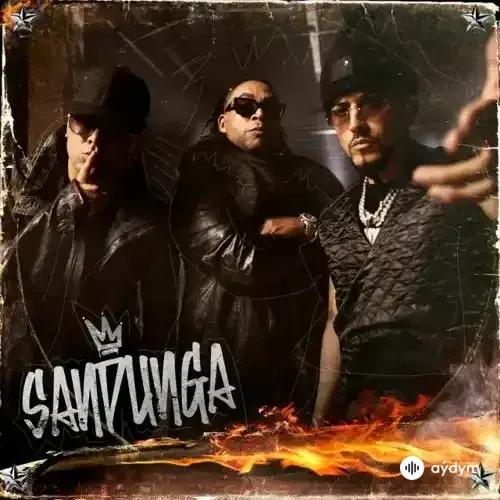 Don Omar - Sandunga - & Wisin & Yandel