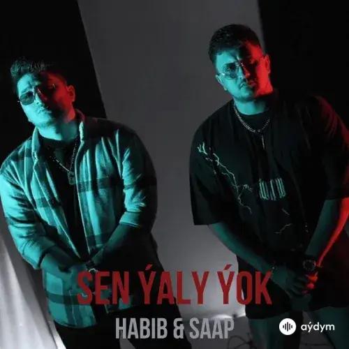 Sen Ýaly Yok - Habib & Saap