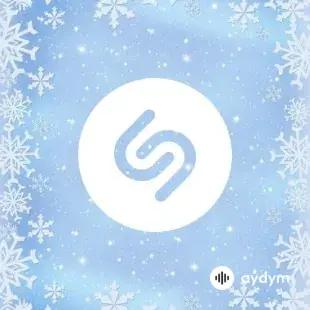 Top Shazam December