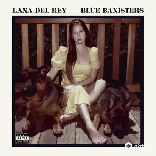 Lana Del Rey - Text Book